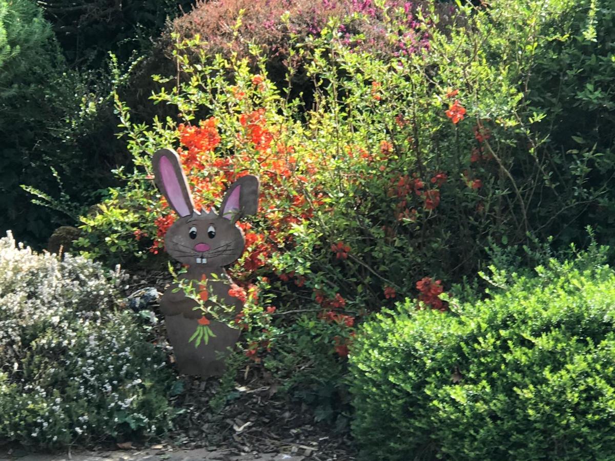 Ohnenheim Bien Etre Et Detente Chez Cote Campagne Et Jardin מראה חיצוני תמונה